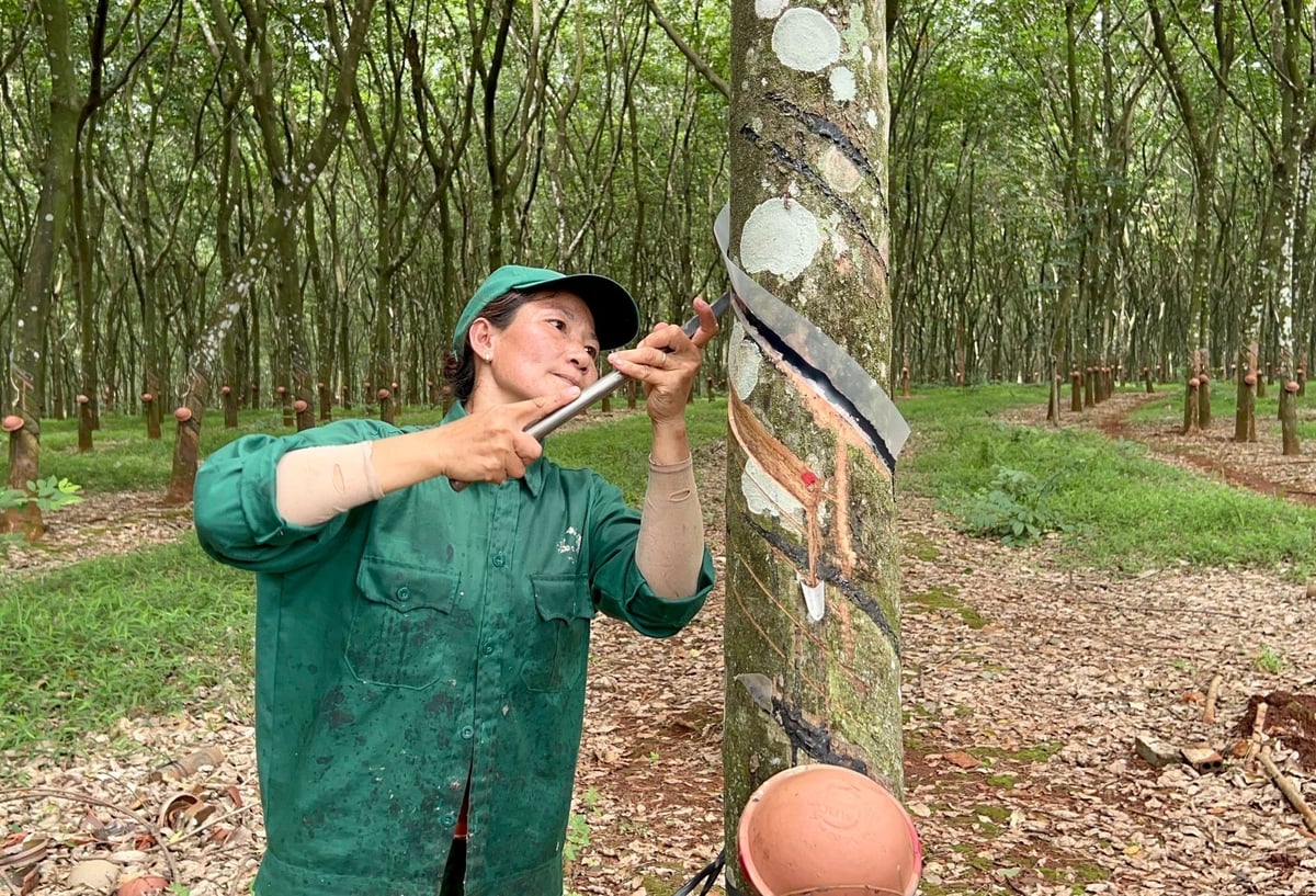 VRG đẩy mạnh chuyển đổi xanh bao trùm và tuần hoàn